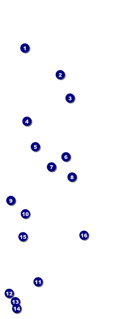 Nature Series - Mountain VIP Event Badge Large Front Field Markers