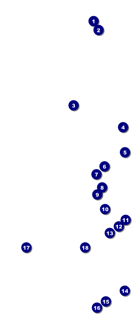 Bow Tie VIP Event Badge Large Front Field Markers