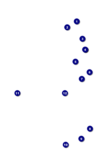 Bowling League VIP Event Badge Small Front Field Markers