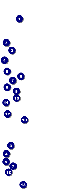 Year Gold Semi-Formal Event Ticket Front Field Markers