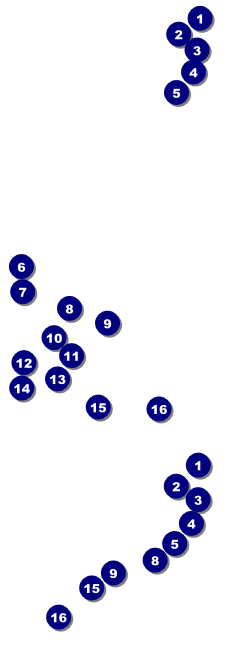 Diwali Festival General Admission Ticket Front Field Markers