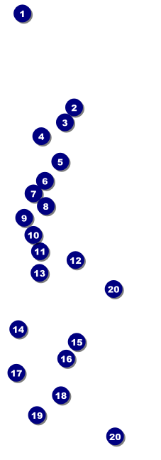 Peace Dove Event Ticket Front Field Markers