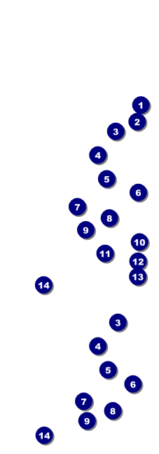 Chinese New Year Horse Event Ticket Front Field Markers