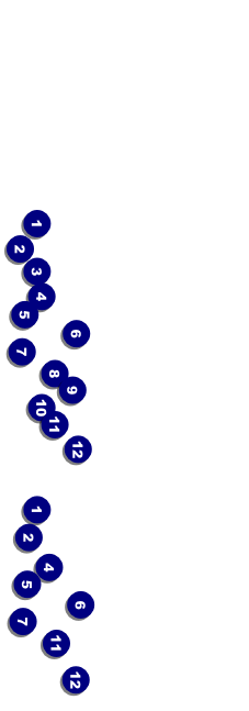 Business Event Ticket 001 Front Field Markers