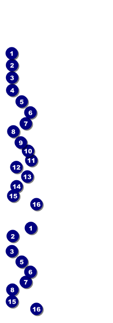Spider Web Event Ticket 002 Front Field Markers