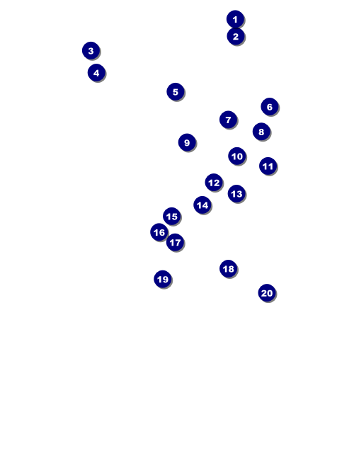 Houston Invitation (Black and white) Front Field Markers