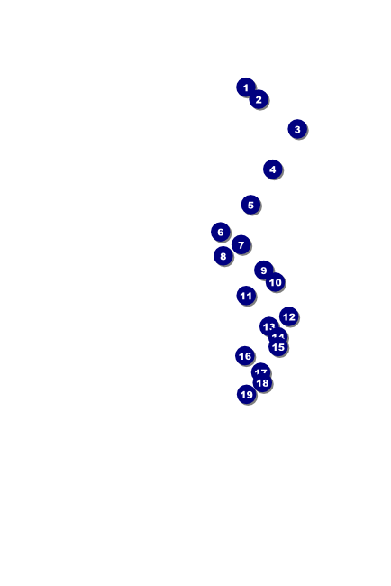 North Carolina Poster Front Field Markers