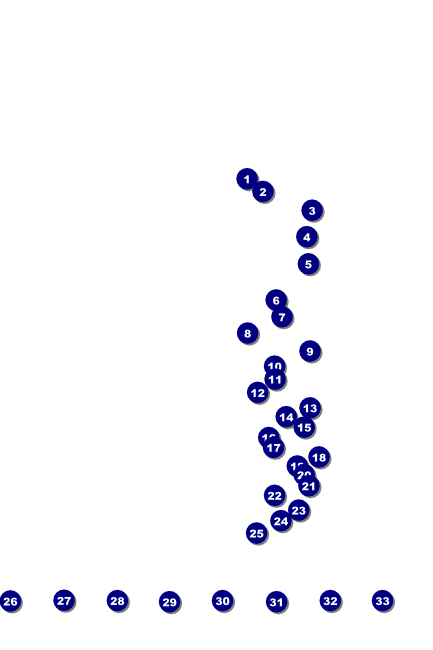 Bridal Fair Poster Front Field Markers