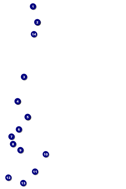 Carnival Poster Front Field Markers