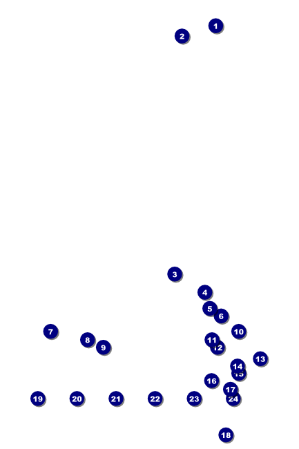 Filipino Fiesta  Poster Front Field Markers