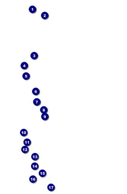 Hawaii Luau Drink Ticket Front Field Markers