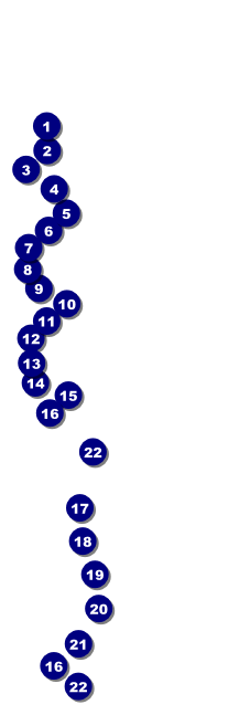 Virginia Raffle Ticket Front Field Markers