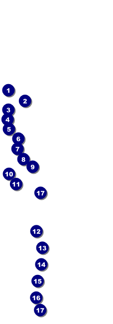 Snowflake Ornament Raffle Ticket Front Field Markers