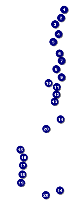 Paper Tree Raffle Front Field Markers