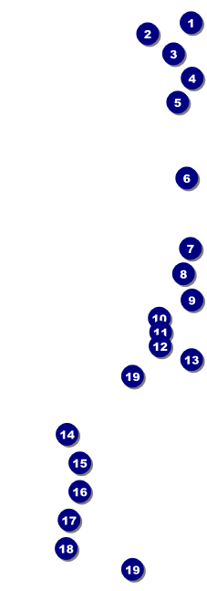 St. Patrick's Day Party Raffle Ticket Front Field Markers