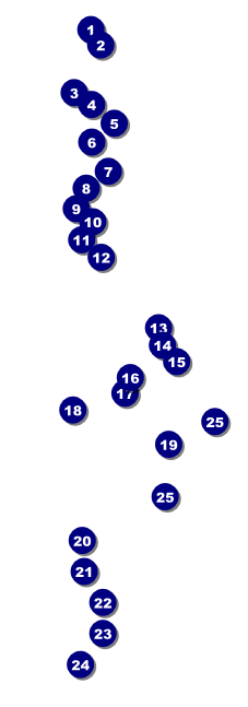 Columbus Raffle Ticket Front Field Markers