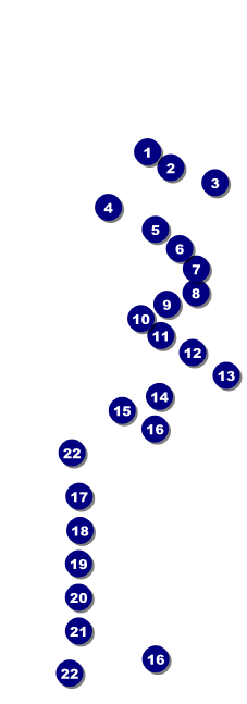 Minneapolis Raffle Ticket Front Field Markers