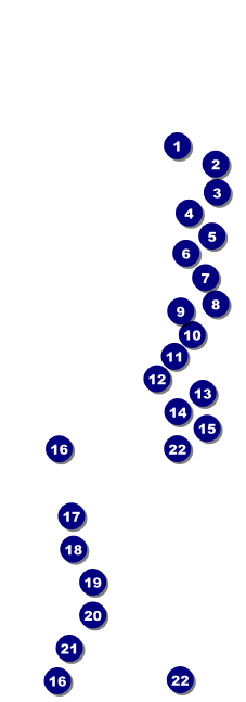 Green Squares Raffle Ticket Front Field Markers