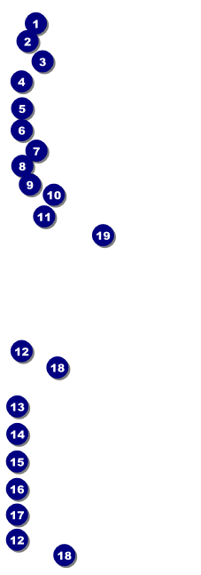 Golf Raffle Ticket 001 Front Field Markers