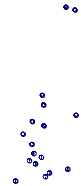 Chinese New Year VIP Pass Front Field Markers