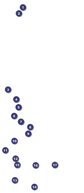 Skating Party VIP Pass Front Field Markers