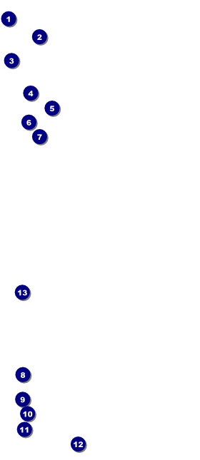 School Tree VIP Pass Front Field Markers