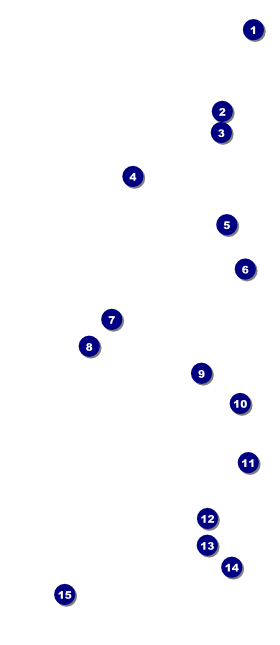 Clouds VIP Pass Front Field Markers