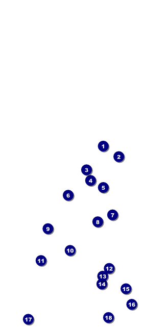 Food Festival VIP Pass Front Field Markers