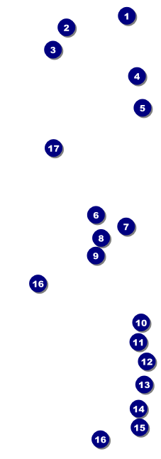 Beauty Pageant - Sneak Peek Event Ticket Front Field Markers