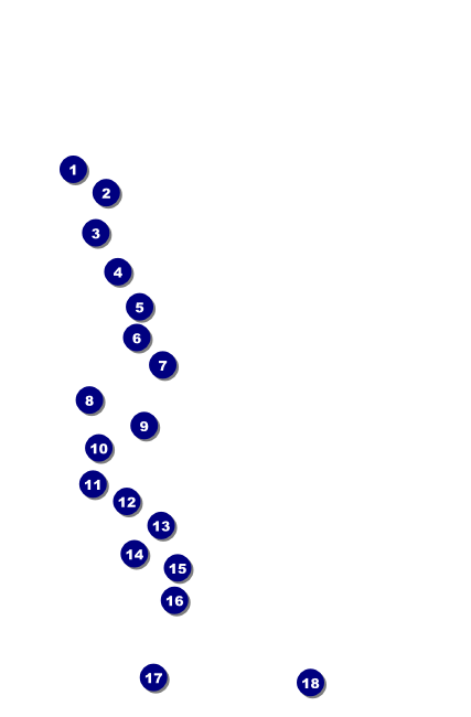 Alabama Drink Ticket Front Field Markers