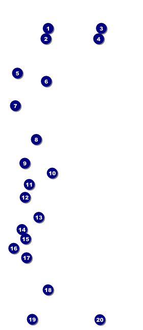 Car Racing VIP Pass Front Field Markers