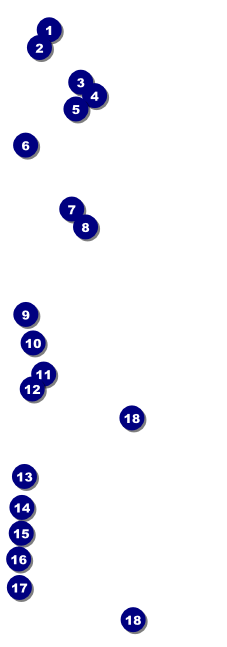 Fire Department Raffle Ticket Front Field Markers