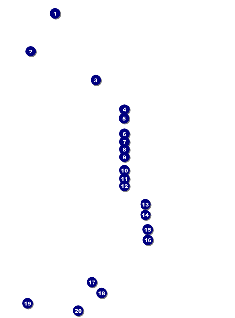 Potluck Benefit Flyer Front Field Markers