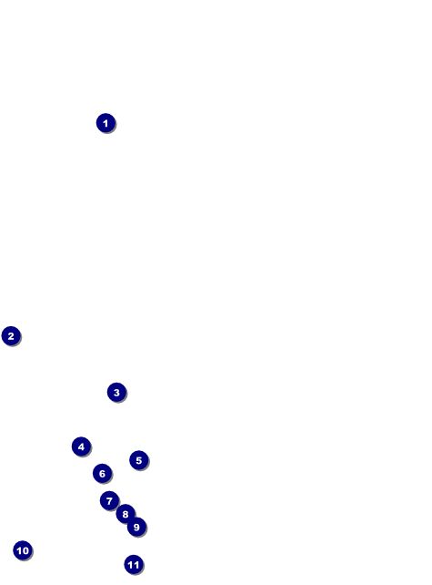 Burgers and Beer Flyer Front Field Markers