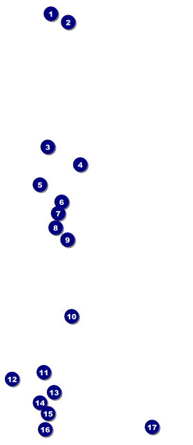 Romeo and Juliet VIP Pass Front Field Markers