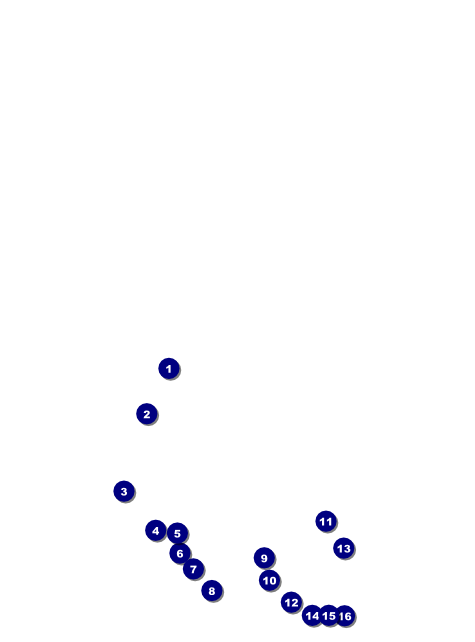 Dinosaur Flyer Front Field Markers