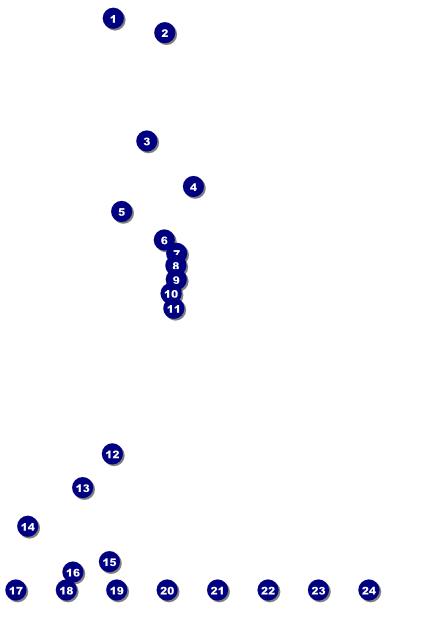 Alice in Wonderland Logo Poster Front Field Markers