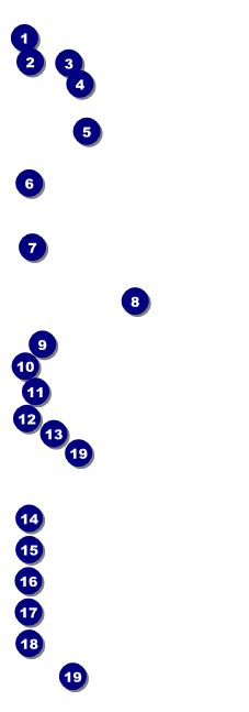 All Purpose Circle Raffle Ticket Front Field Markers