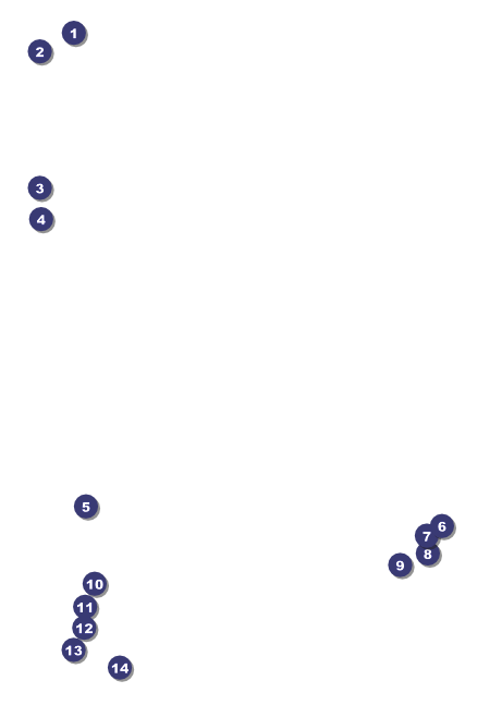 Prism Tree Club Flyer Front Field Markers