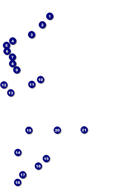 Winter Festival Club Flyer Front Field Markers