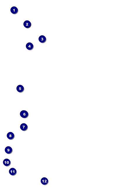 Carnival Drink Ticket Front Field Markers